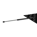 Gas Spring, bonnet
