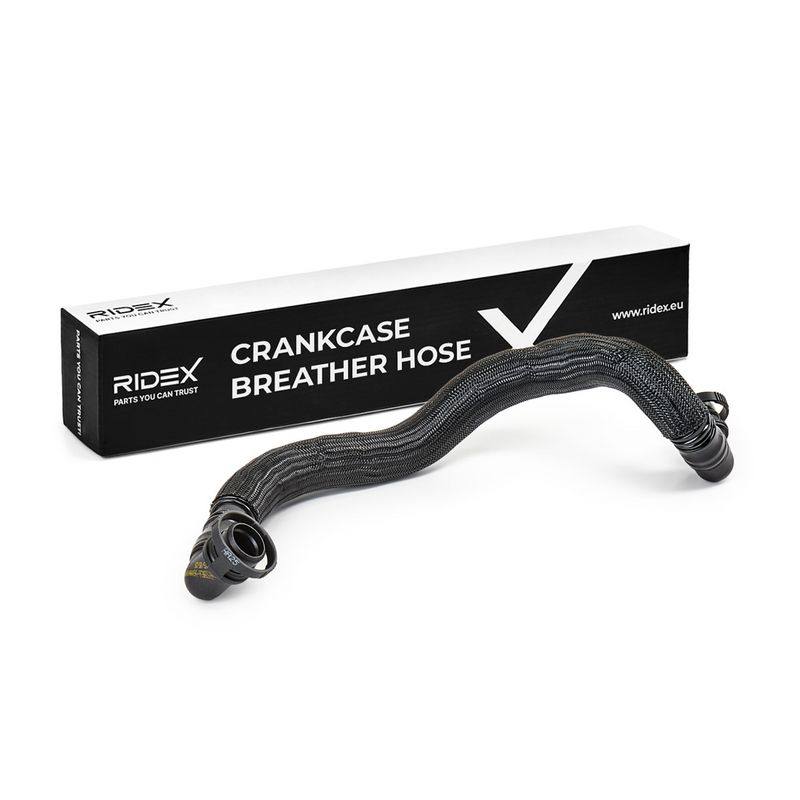 Hose, crankcase ventilation