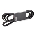 V-ribbed Belt
