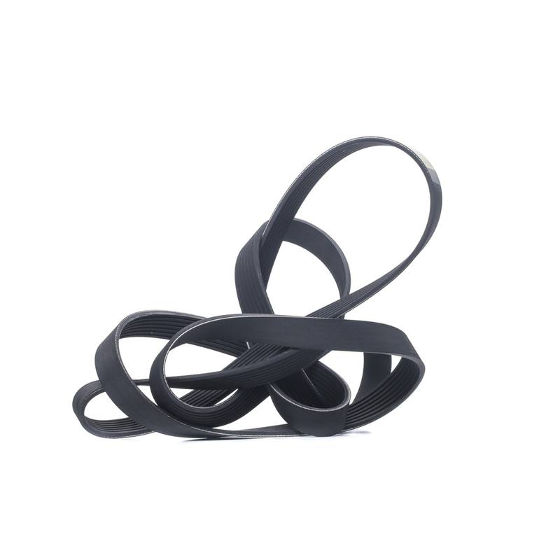 Water Pump + V-ribbed Belt Kit