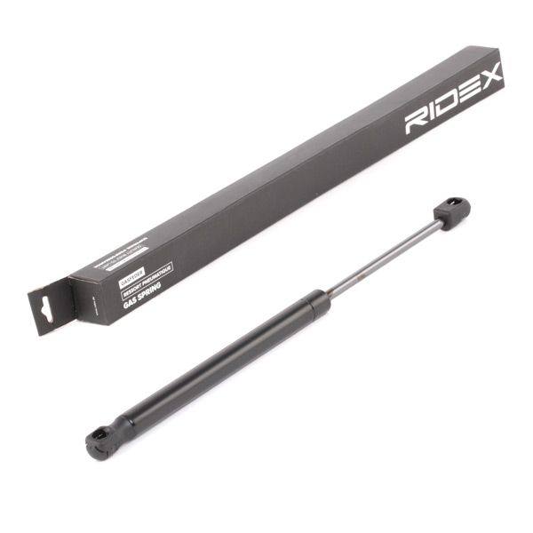 Gas Spring, boot/cargo area