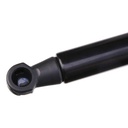 Gas Spring, bonnet