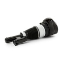 Air Suspension Strut