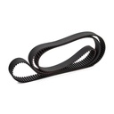 Timing Belt