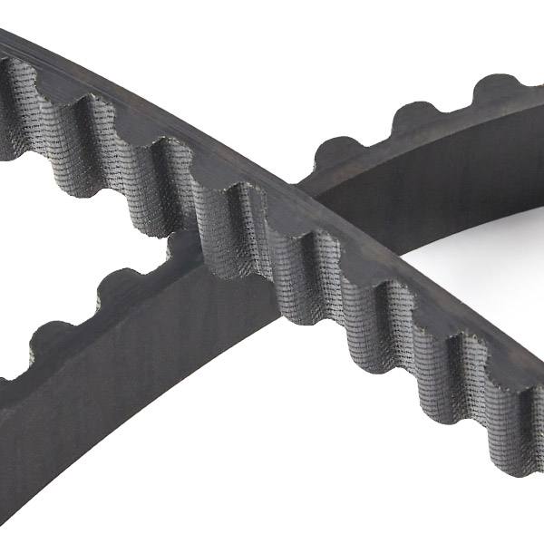 Timing Belt