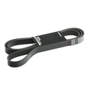 V-ribbed Belt