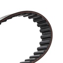 Timing Belt