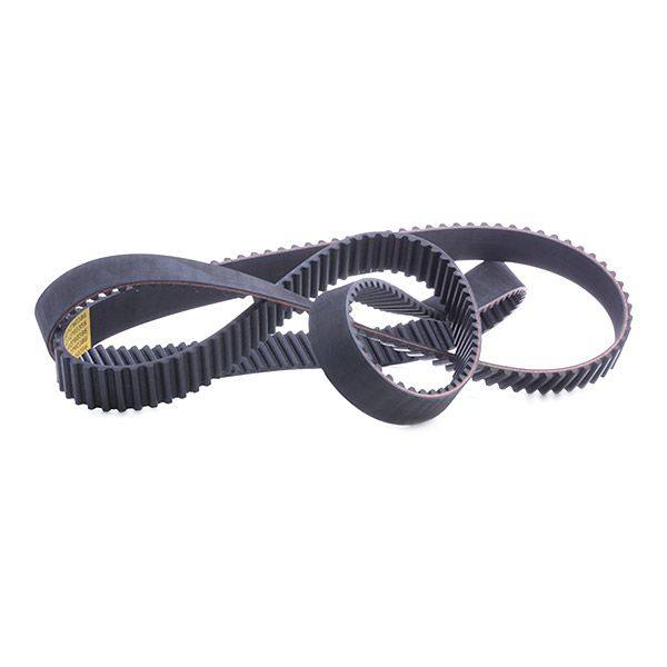 Timing Belt