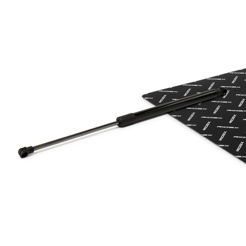 Gas Spring, boot/cargo area