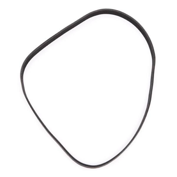 V-ribbed Belt Set