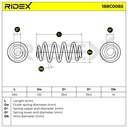 Suspension Spring