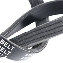 V-ribbed Belt Set