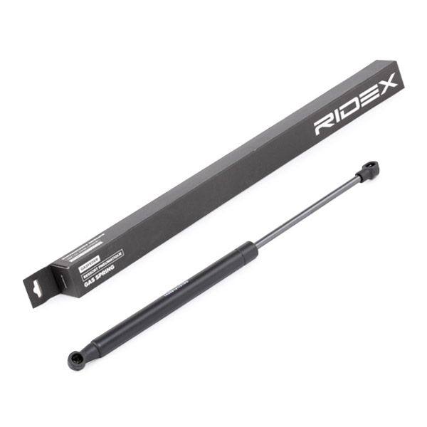 Gas Spring, boot/cargo area