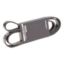 V-ribbed Belt