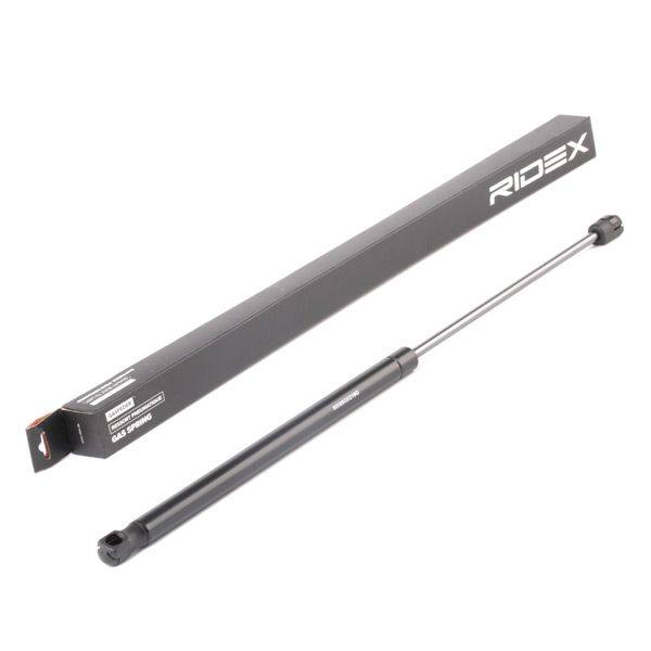 Gas Spring, boot/cargo area