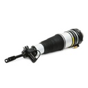 Air Suspension Strut
