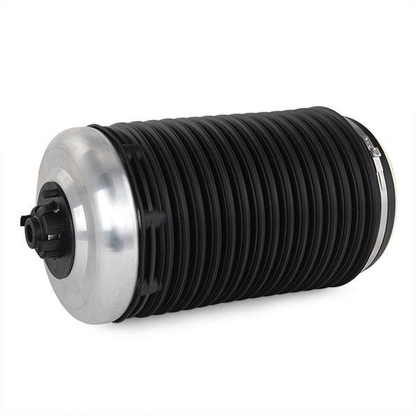 Air Spring, suspension