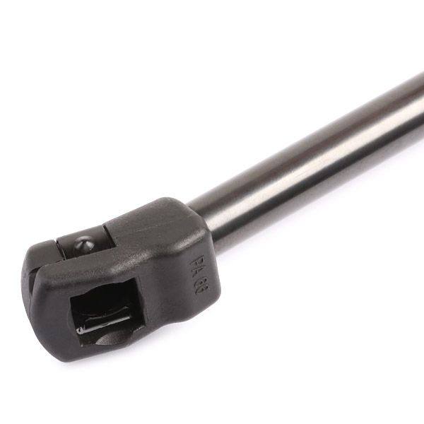 Gas Spring, boot/cargo area