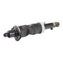 Air Suspension Strut