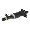 Air Suspension Strut