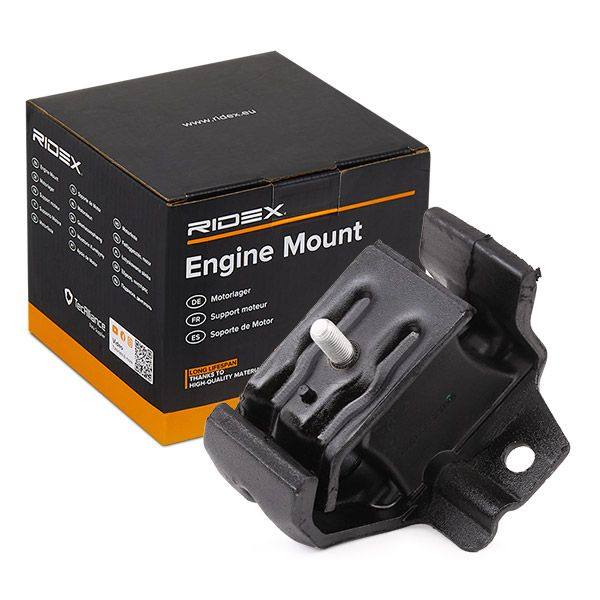 Mounting, engine