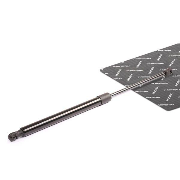 Gas Spring, boot/cargo area