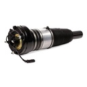Air Suspension Strut