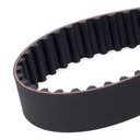 Timing Belt