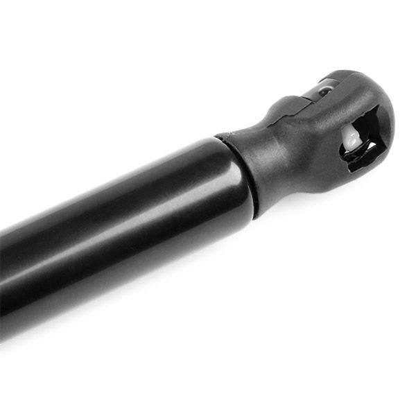 Gas Spring, boot/cargo area