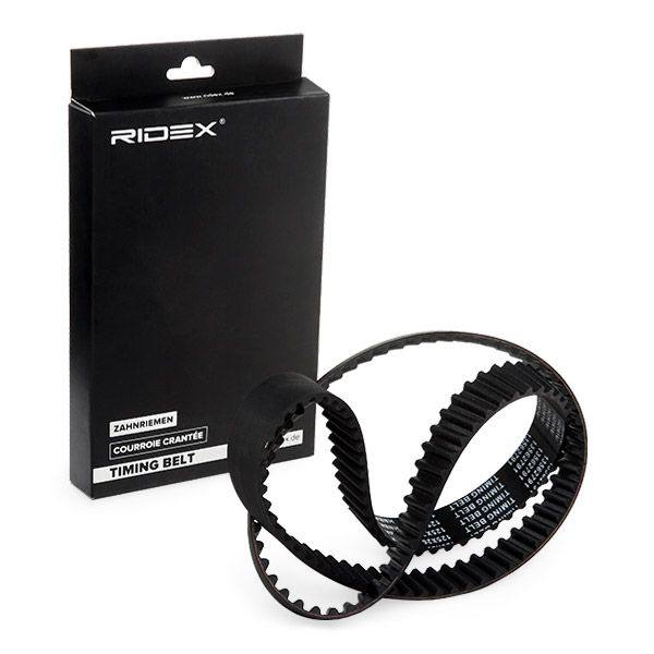 Timing Belt