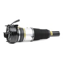 Air Suspension Strut