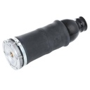 Air Spring, suspension