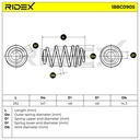 Suspension Spring