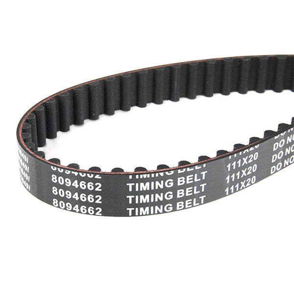 Timing Belt