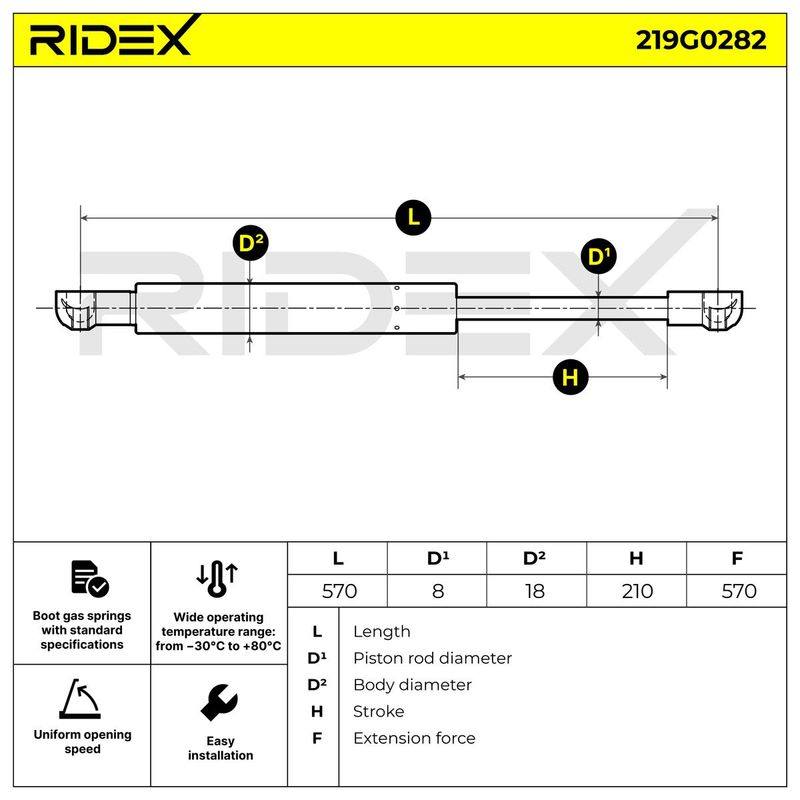 Gas Spring, boot/cargo area