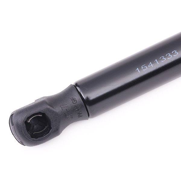 Gas Spring, boot/cargo area