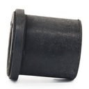 Bushing, leaf spring