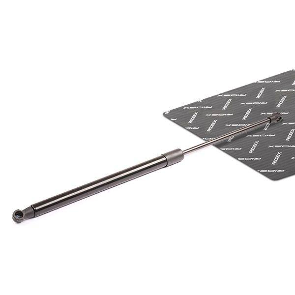 Gas Spring, boot/cargo area