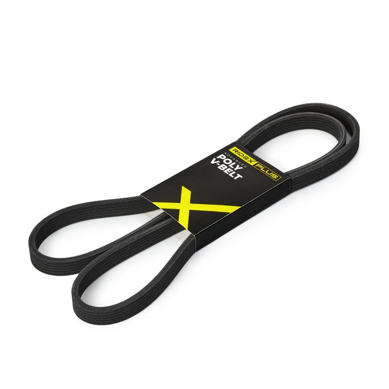 V-ribbed Belt