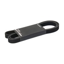 V-ribbed Belt