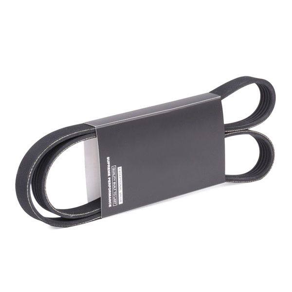 V-ribbed Belt