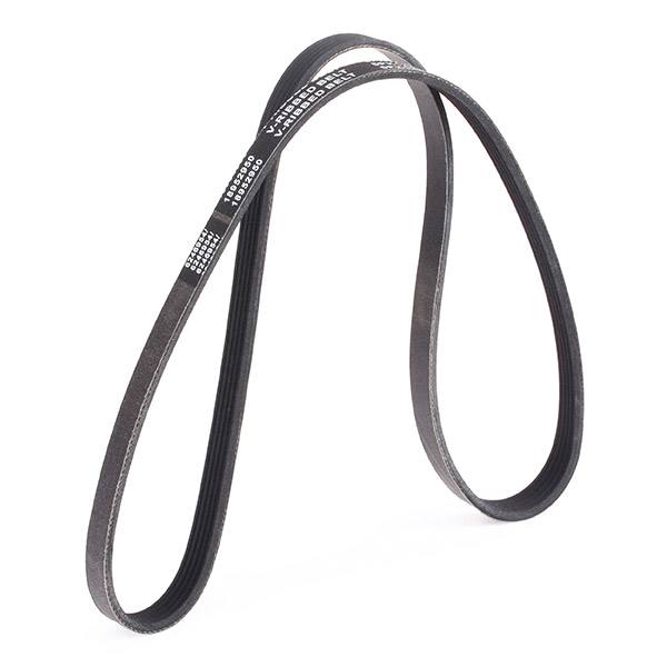 V-ribbed Belt