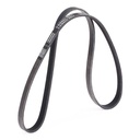 V-ribbed Belt