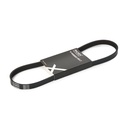 V-ribbed Belt