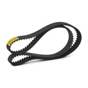 Timing Belt