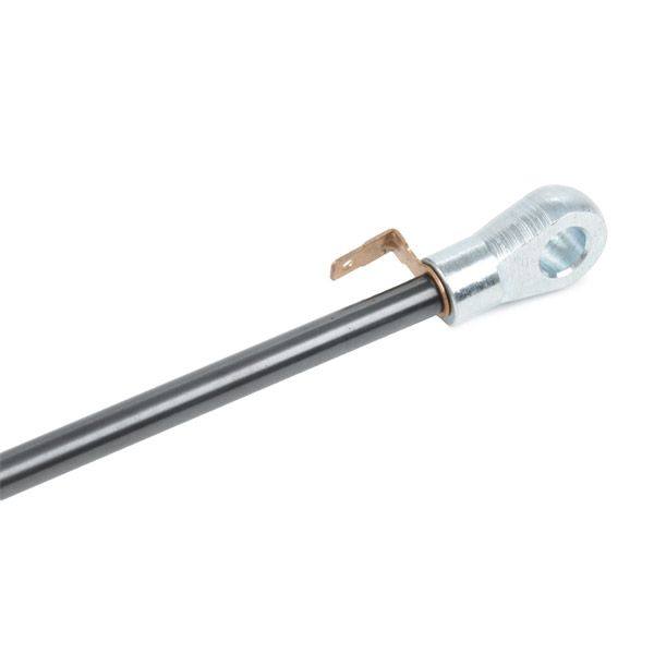 Gas Spring, boot/cargo area