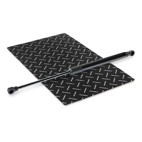 Gas Spring, boot/cargo area