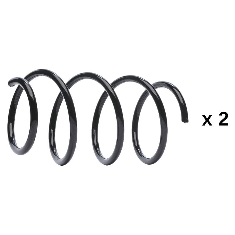 Suspension Set, springs