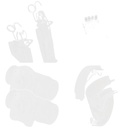 Brake Kit, drum brake