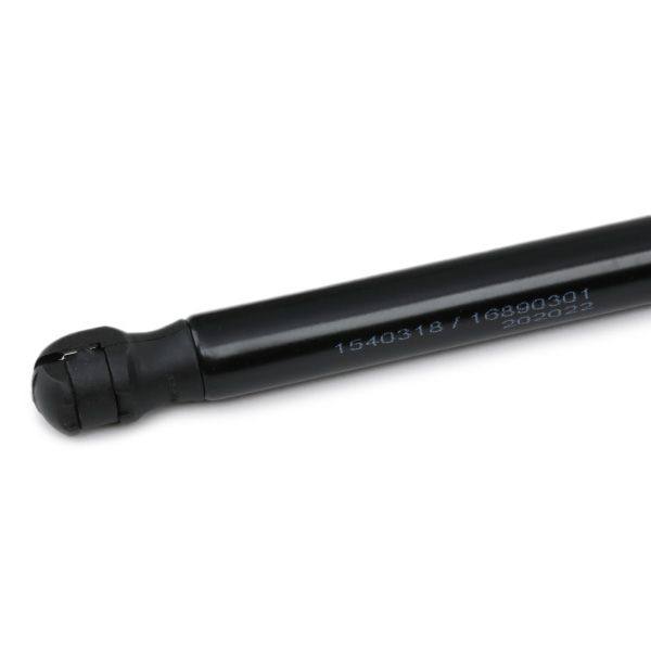 Gas Spring, bonnet